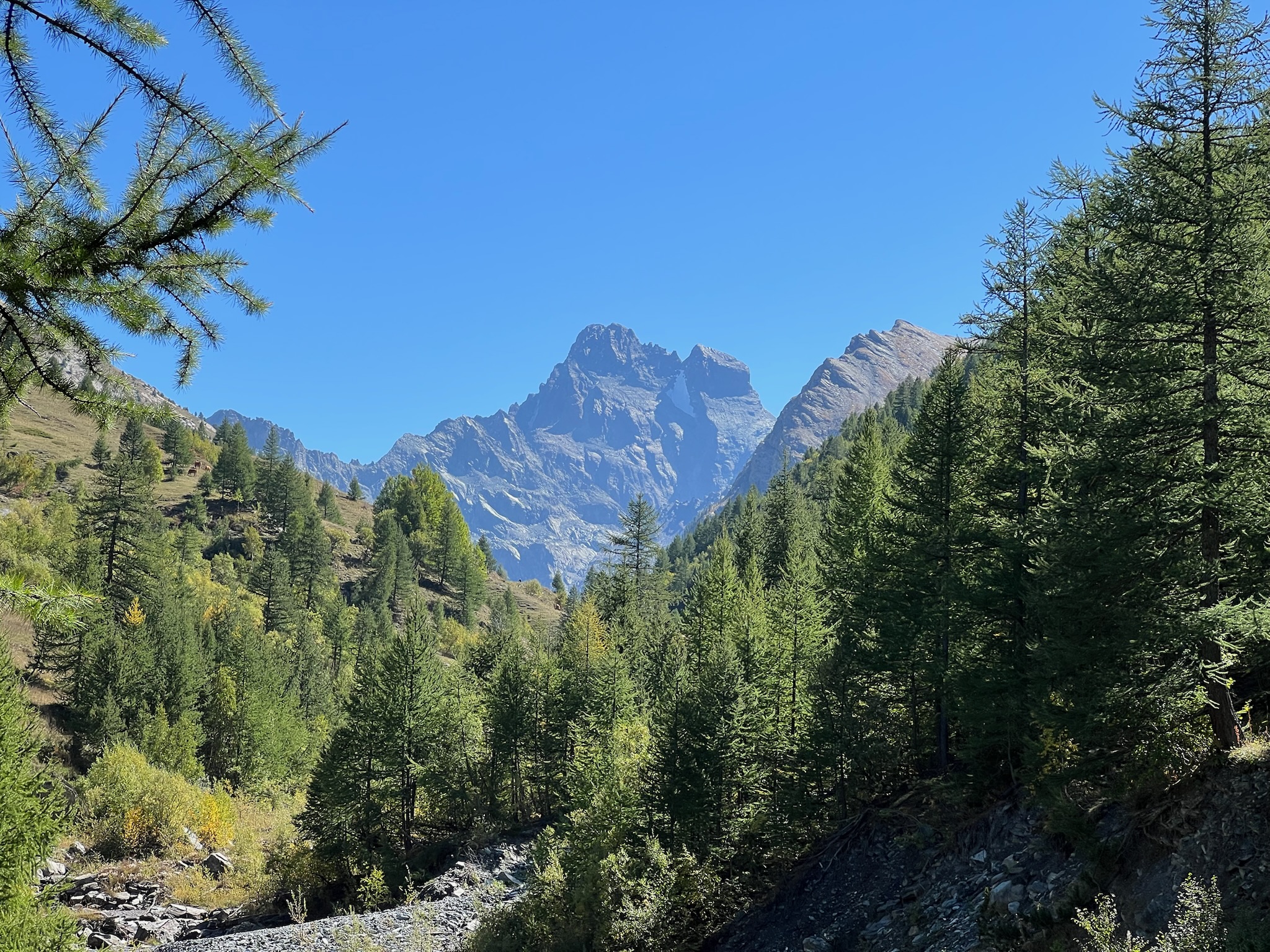 Le Pic de la Font Sancte vu depuis le vallon du Cristillan