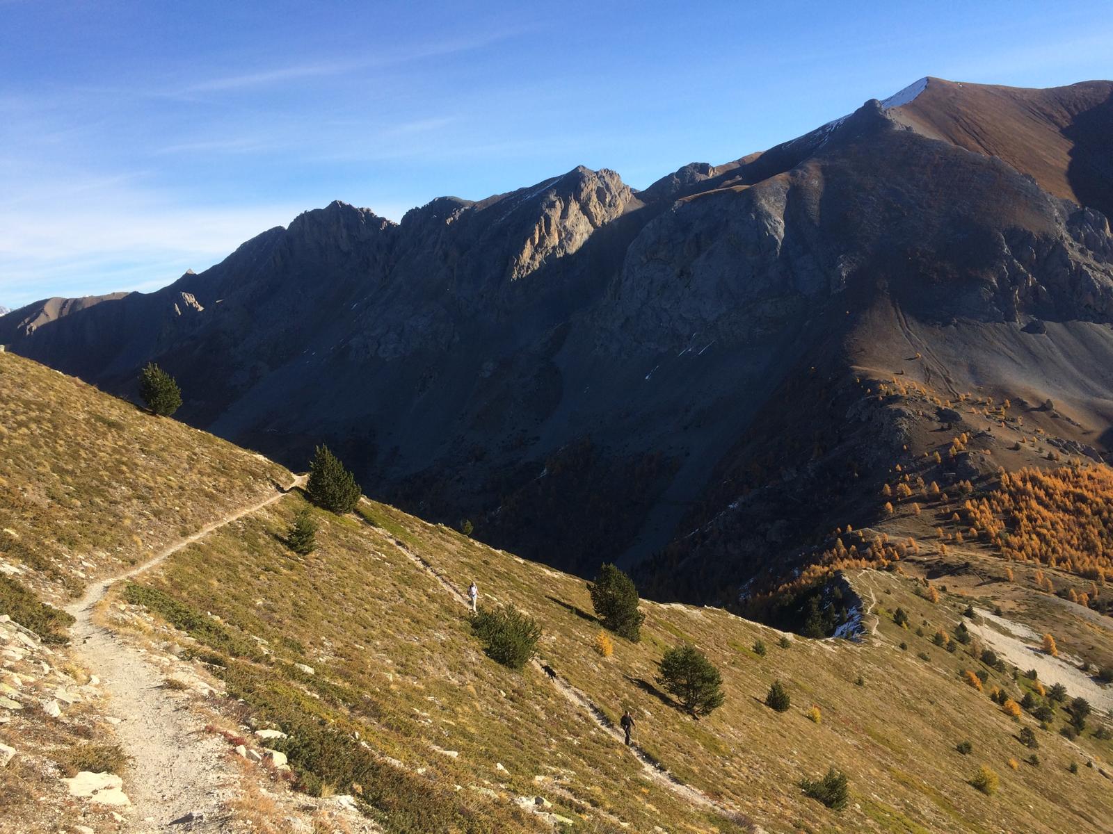 Randonneurs et chien sur un sentier de crête du Queyras